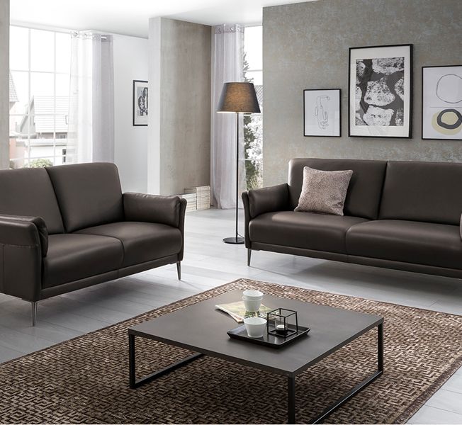 Modernes Wohnzimmer mit braunen Sofas